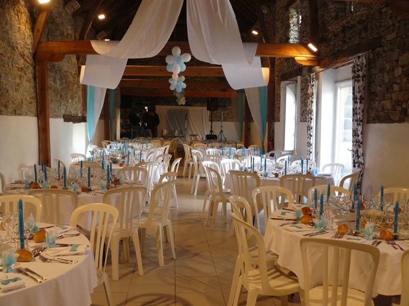 Château de la Senaigerie_44830 BOUAYE_5